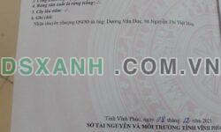 Bán đất chính chủ 121.8m2 Xã Thanh Vân, H. Tam Dương, Vĩnh Phúc