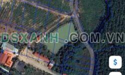Bán đất KP Suối Cam, Phường Tân Phú, TP Đồng Xoài, DT 10x60m