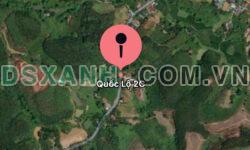 CHO THUÊ ĐẤT XƯỞNG BĂM GỖ – QUỐC LỘ 2C, NGỌC HỘI, CHIÊM HÓA
