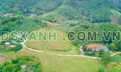 BÁN 9.582 M² ĐẤT TẠI THÔN TÂN THÀNH – VIỆT QUANG, BẮC QUANG
