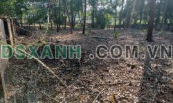 Cho Thuê Mặt Bằng 3.000 m² Mặt Đường Điện Biên Phủ, An Tường, Tuyên Quang